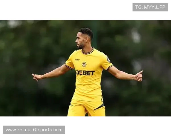 狼队最新英超球队身价排名及关键球员表现 狼队最新英超球队身价排名及关键球员表现